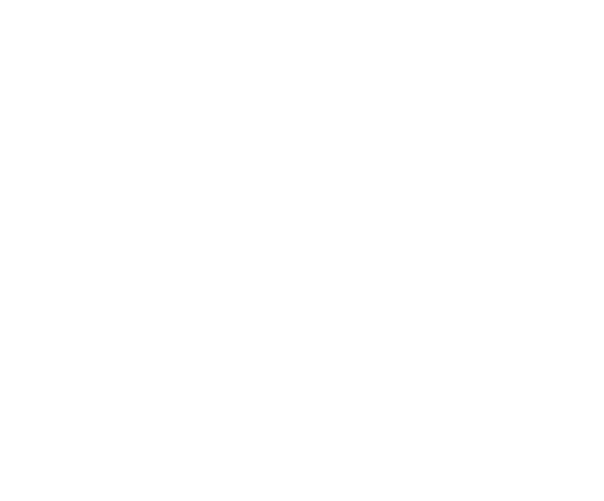 Acedeck® Electric Skateboards